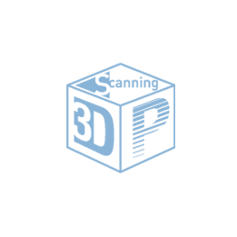 3DP Scanning